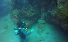 Anilao Scuba Dive Center